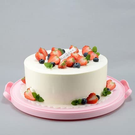 NVAZIOP Large 10 Inch Cake Carrier Keeper Stand with Handles and Lids Container for Transport Cake Holder Tray with Cover Round Cupcake Storage Kitchen Cooking Box Large