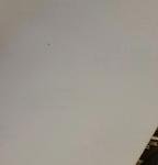 1970s Formula One Grand Prix Racing Photos Lot