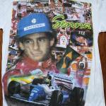 Ayrton Senna Vintage Memorial Rap Tee