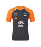 McLaren F1 2025 Men's Tee - Phantom/Autumn Glory