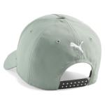 PUMA Mercedes AMG Petronas F1 Adjustable Snapback Hat