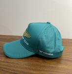Aston Martin F1 Official Team Baseball Cap Green 2026 Adult Hat  New With Tags