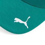 PUMA Aston Martin F1 Fernando Alonso Team Hat
