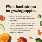 Honest Kitchen PUPPY Food - Whole Grain + Chicken