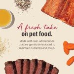 Honest Kitchen Dehydrated Beef & Salmon Dog Food