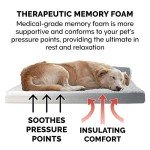 Furhaven Memory Foam Dog Bed with Washable Cover