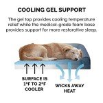 Furhaven Cooling Gel Dog Bed for Small Dogs