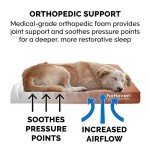 Furhaven Water-Resistant Orthopedic Bed for Dogs