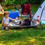 FurHaven Elevated Cooling Dog Bed – XL Grey