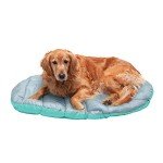 Furhaven Foldable Outdoor Dog Bed with Carry Bag