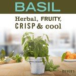 MRS. MEYER'S Non-Toxic Basil Dish Soap Refill