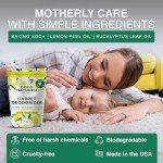 Natural Carpet Deodorizer & Freshener Powder - 31 oz