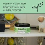 Fresh Wave Natural Odor Removing Gel - 3 Pack