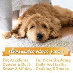 Natural Carpet Deodorizer Powder for Pets