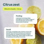 ATTITUDE EWG Verified Citrus Dish Soap, 33.8 Fl Oz