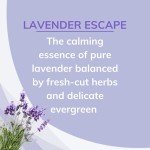 Citrus Magic Lavender Air Freshener - 3 Pack