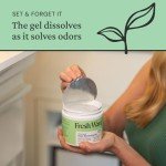 Fresh Wave Natural Odor Eliminator Gel - 15 oz