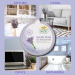 Citrus Magic Lavender Air Freshener - 3 Pack