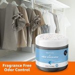 Fragrance-Free Charcoal Gel Odor Eliminator, 17 Oz