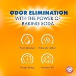 Fragrance-Free Moisture Absorber & Odor Eliminator