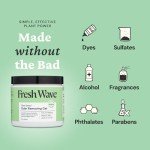 Fresh Wave Natural Odor Eliminator Gel - 15 oz