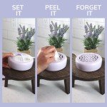Citrus Magic Lavender Air Freshener - 3 Pack