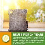 Bamboo Charcoal Odor Absorber - 6 Pack