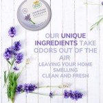 Citrus Magic Lavender Air Freshener - 3 Pack