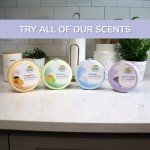 Citrus Magic Lavender Air Freshener - 3 Pack