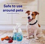 CleanSmart Non-Toxic Surface Cleaner for Families