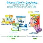 Eco-Gals Heavy Duty Dishwasher Cleaner Tablets - 12 Pack