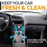 Activated Charcoal Odor Absorbers for Home & Car