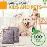 Activated Charcoal Odor Absorbers for Home & Car