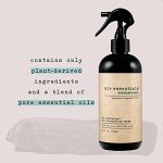 Eucalyptus Mint Non-Toxic Air Freshener Spray - 2 Pack