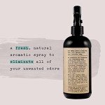 Eucalyptus Mint Non-Toxic Air Freshener Spray - 2 Pack
