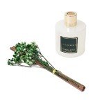 Cocorrína Eucalyptus & Moss Reed Diffuser Set