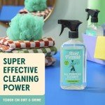 Aunt Fannie's Eucalyptus Multi-Surface Cleaner Spray