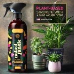 Plant-Based Odor Eliminator & Air Freshener Spray