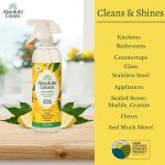 Absolute Green Non-Toxic All-Purpose Cleaner Spray