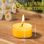 Pure Beeswax Tealight Candles - 36 Pack
