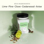 Fresh Wave Odor Removing Gel Refill - 63 oz