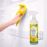 Absolute Green Non-Toxic All-Purpose Cleaner Spray