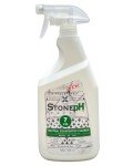 Natural Non-Toxic Countertop Cleaner for Safe Homes
