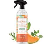 Therapy Clean Non-Toxic All-Purpose Spray - Fresh Herbs & Melon