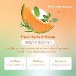 Therapy Clean Non-Toxic All-Purpose Spray - Fresh Herbs & Melon