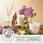 Apotheke Charcoal Soy Wax Aromatherapy Candle