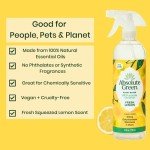 Absolute Green Non-Toxic All-Purpose Cleaner Spray