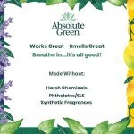 Absolute Green Non-Toxic All-Purpose Cleaner Spray