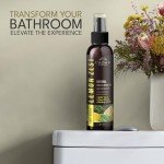 Lemon Zest Non-Toxic Air Freshener Spray - 2PK