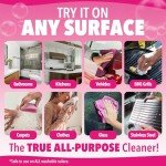 Quick 'n Brite Non-Toxic All-Purpose Cleaning Paste